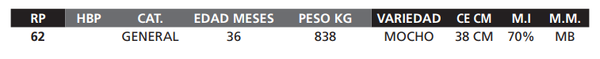 Lote LOTE 30