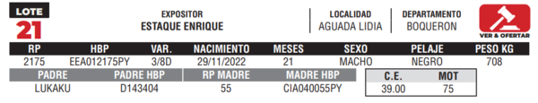 Lote LOTE 21- CAMPO