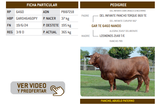 Lote LOTE 14