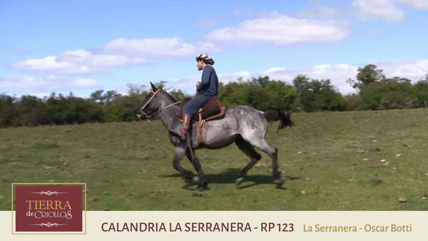 Lote Calandria la Serranera (RP 123) - Cabaña "La Serranera"