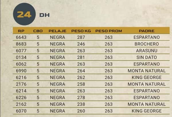 Lote LOTE 24