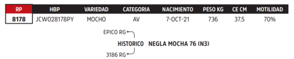 Lote LOTE 66