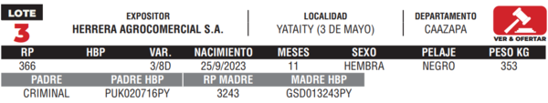 Lote LOTE 3- JUNIOR