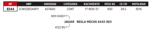 Lote LOTE 89