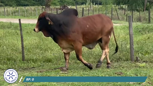 ClicRural - TORO