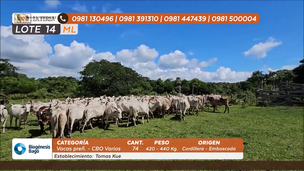 Lote ESTANCIA TOMAS KUE