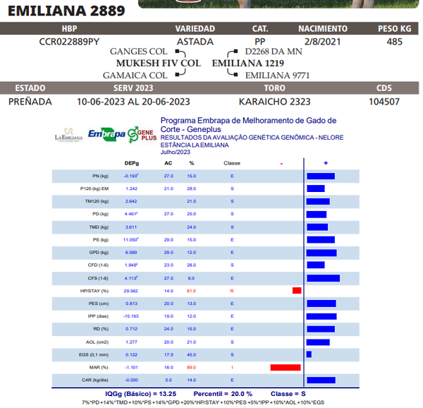 Lote LOTE 54