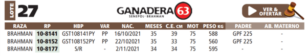 Lote LOTE 27