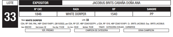 Lote LOTE 33