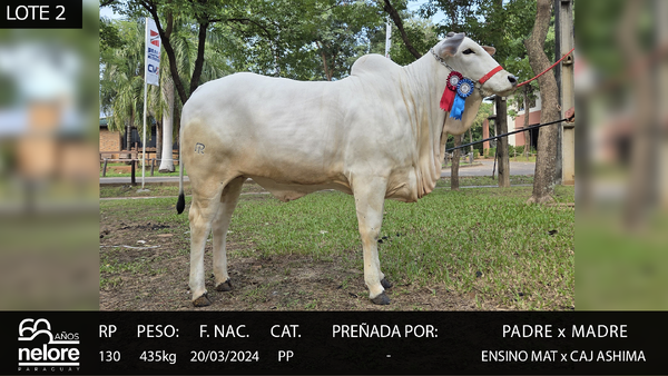 Lote LOTE 2