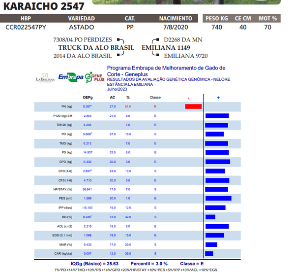 Lote LOTE 15
