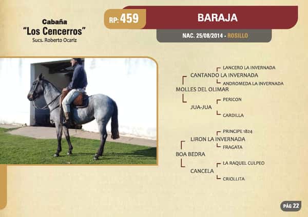 Lote RP. 459 - BARAJA - LOS CENCERROS