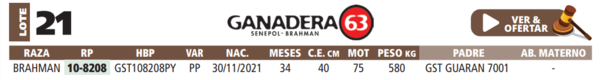 Lote LOTE 21