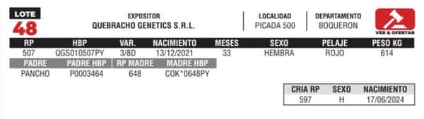 Lote LOTE 48- CAMPO