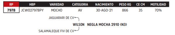 Lote LOTE 86