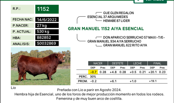 Lote Vaquillonas PP Paridas