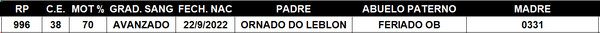Lote LOTE 2