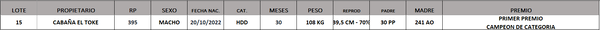 Lote LOTE 15