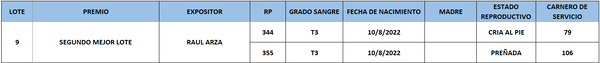 Lote LOTE 9