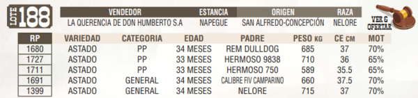 Lote LOTE 188