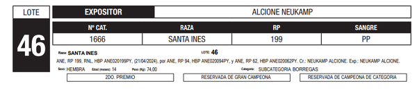 Lote LOTE 46