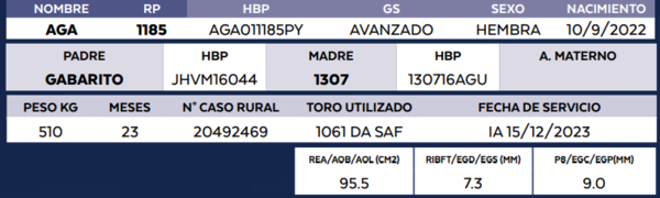 Lote LOTE 43