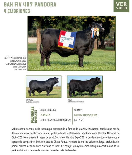 Lote LOTE 22