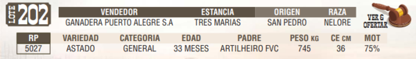 Lote LOTE 202 - EN VIVO