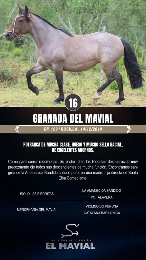 Lote Granada del Mavial