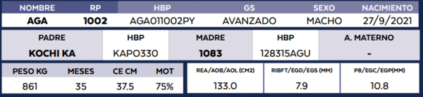 Lote LOTE 67