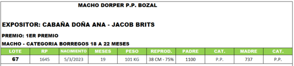 Lote LOTE 67