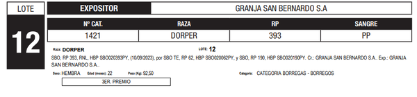 Lote LOTE 12