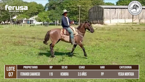 Lote LOTE 7 DE BOZAL