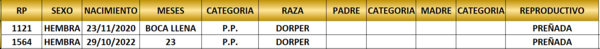 Lote LOTE 7