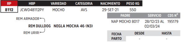 Lote LOTE 41