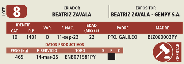 Lote LOTE 8