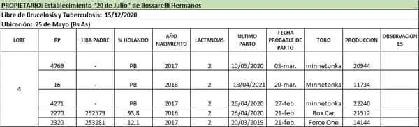 Lote Lote 4