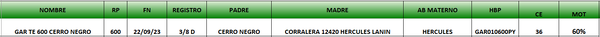 Lote LOTE 67