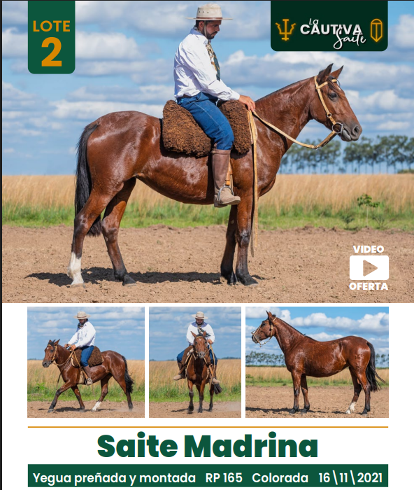 Lote LOTE 2