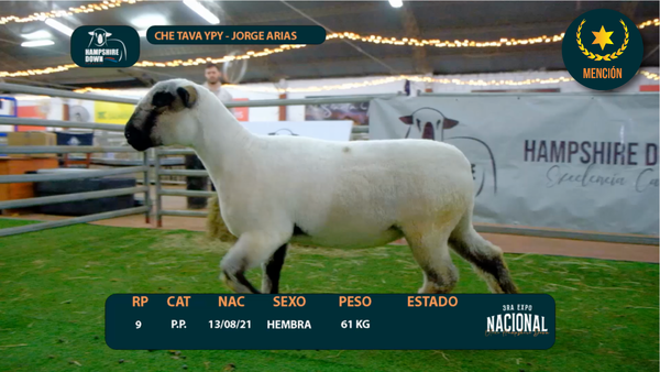Lote LOTE 3 - CHE TAVA YPY - RP 9
