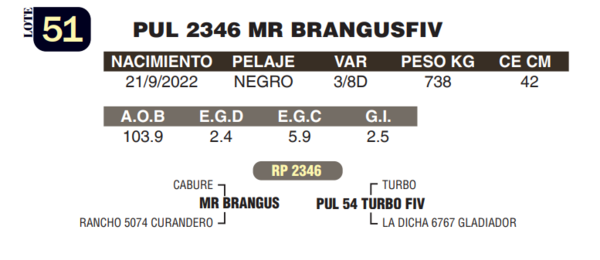 Lote LOTE 51