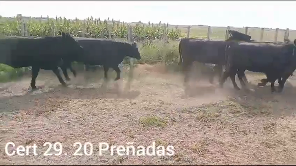Lote MARIA PEREZ