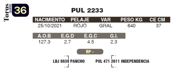 Lote LOTE 36