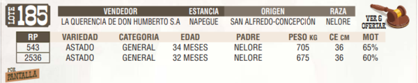 Lote LOTE 185