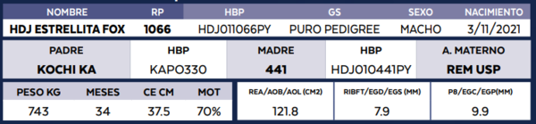 Lote LOTE 57