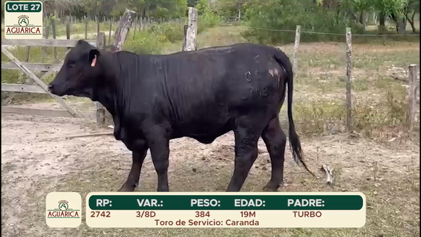 Lote LOTE 27