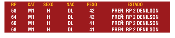 Lote LOTE 17