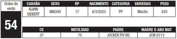 Lote LOTE 54