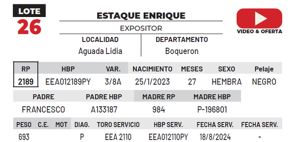 Lote LOTE 26