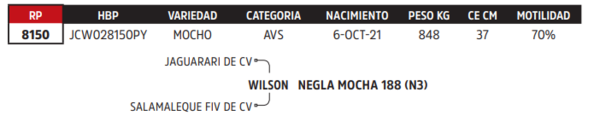 Lote LOTE 10